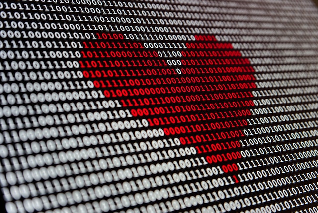 Data Heart